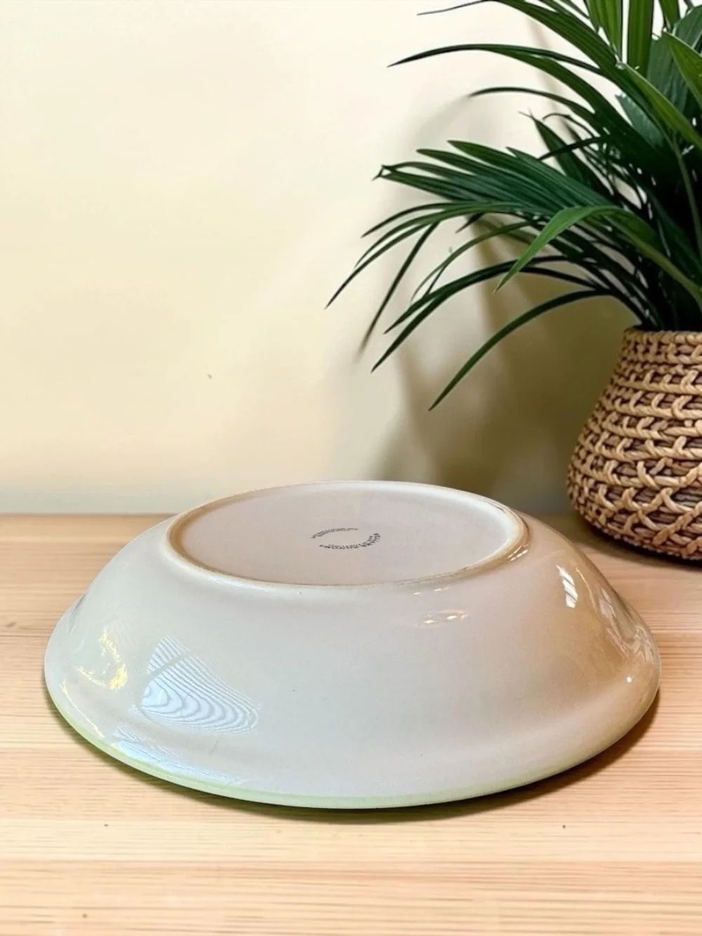 Williams Sonoma Portugal Vegetable Pepper Low Pasta Bowl 9.5” Stoneware Serving